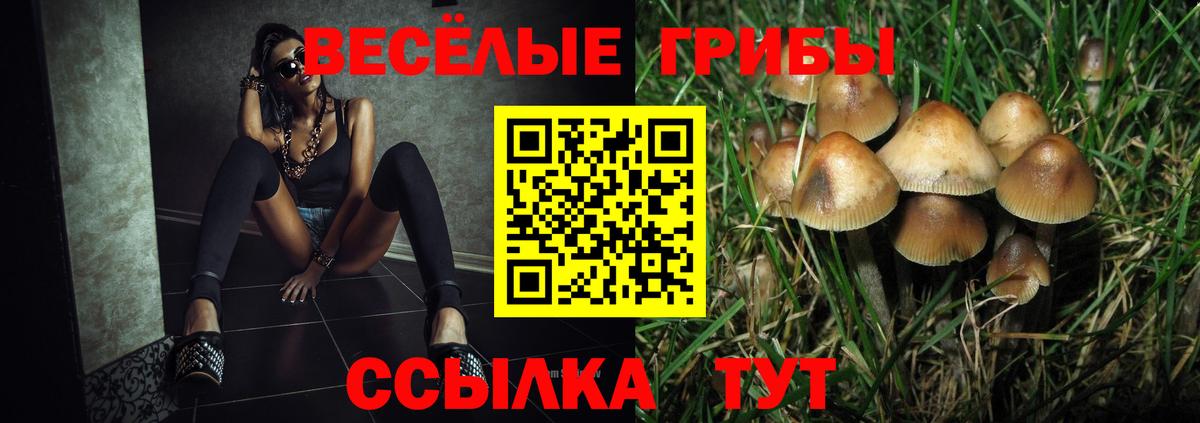 Галлюциногенные грибы GOLDEN TEACHER Новоалтайск