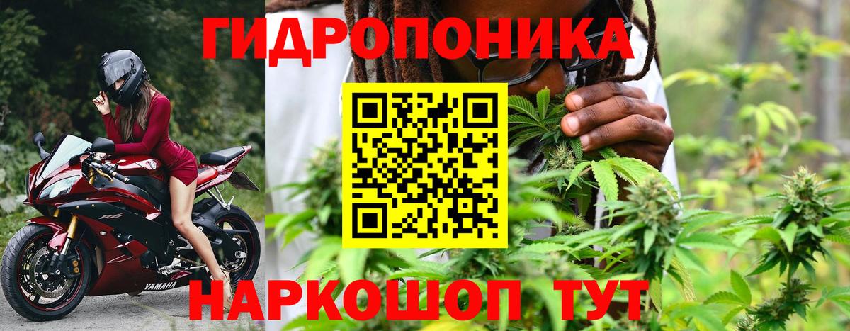 Канабис SATIVA & INDICA Новоалтайск